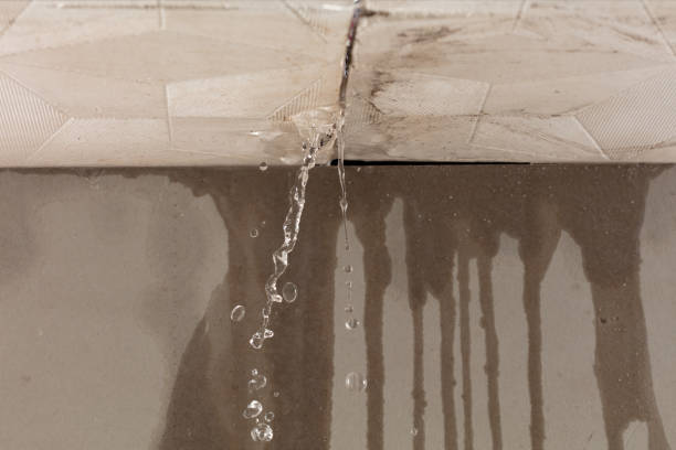 Professional Water Damage Repair technician working in Bonham, TX
